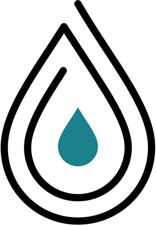 Privvy Logo